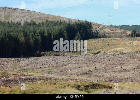 L'abattage commercial et de la plantation d'arbres dans les Scottish Borders avec partie d'une nouvelle ferme éolienne Banque D'Images