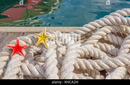 Détail d'une corde pour l'amarrage avec deux étoiles de mer/ une corde pour l'amarrage des bateaux avec deux starfishs reposait sur le quai de plaisance Banque D'Images