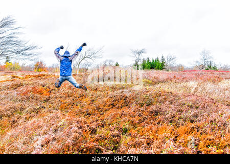 Jeune homme marche sur le sentier de randonnée à travers le feuillage automne coloré orange automne fern prairie sauter de haut champ heureux dans West Virginia Banque D'Images