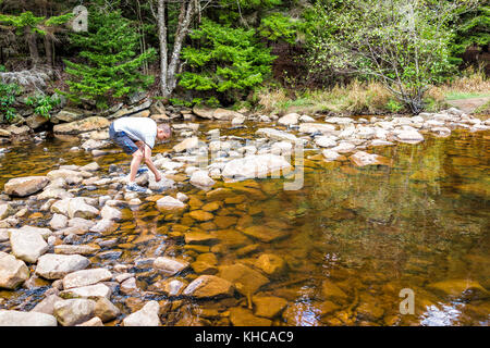 Jeune homme apprécier la nature, le calme paisible sur la rivière Red Creek dans la région de Dolly Sods, Virginie de l'Ouest au cours de journée ensoleillée avec réflexion trempant les mains dans l'eau Banque D'Images