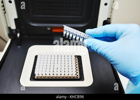 Thermocycleur PCR de l'adn et Banque D'Images