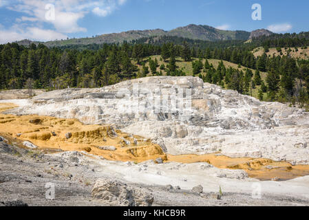 Mammoth Hot Springs. entrée nord, le parc de Yellowstone, États-Unis Banque D'Images