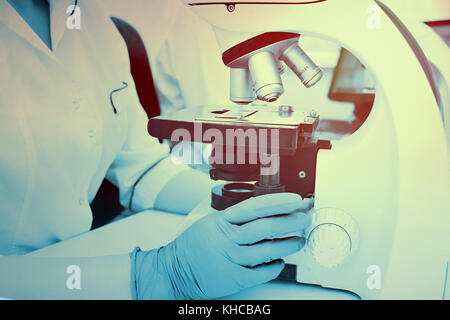 Un infirmier ou scientifique examine les bactéries dans un microscope Banque D'Images