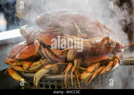 FISHERMANS GROTTO CRABS À LA VAPEUR crabe Dungeness fraîchement cuit et vapeur Fisherman's Wharf Grotto Pier 39 Embarcadero San Francisco California USA Banque D'Images