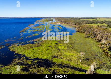 Floride,Kenansville,Cypress Lake,eau,rivage,arbres,vue aérienne aérienne de l'oeil d'oiseau au-dessus, les visiteurs voyage Voyage tourisme touristique repère Landm Banque D'Images