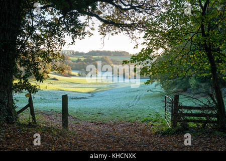 Gel d'automne à travers les terres agricoles sur le Great TEW Estate. Great TEW, Cotswolds, Oxfordshire, Angleterre Banque D'Images