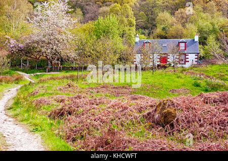 Chambre le long de West Higland Way Trail le long des rives du Loch Lomond, Ecosse Banque D'Images