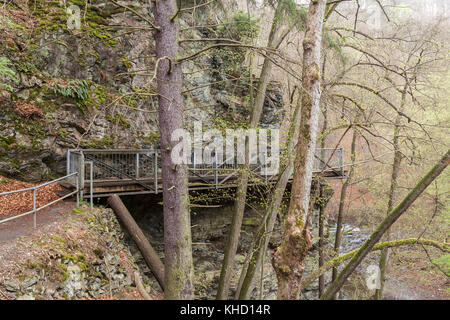 Harzer Hexenstieg BEI Thale Banque D'Images