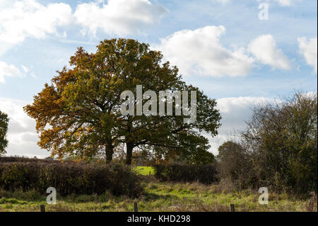 L'automne dans le Hampshire angleterre basingstoke canal pour week end get aways Banque D'Images