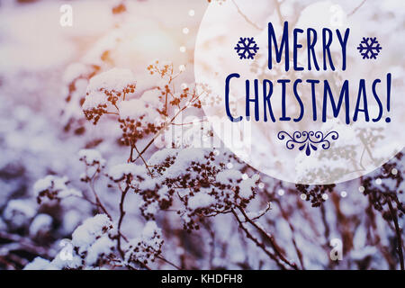 Joyeux Noël carte de souhaits sur beau paysage gelé de l'hiver fond avec copie espace Banque D'Images