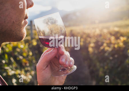 Dégustation de vin rouge dans l'homme vigne Banque D'Images