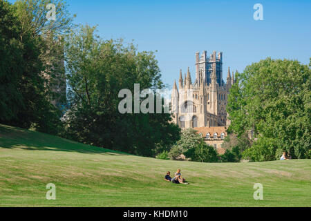 Ely Cambridgeshire Royaume-Uni, vue en été de la tour Octagon de la cathédrale d'Ely s'élevant au-dessus de Cherry Hill Park dans la ville d'Ely, Cambridgeshire. Banque D'Images