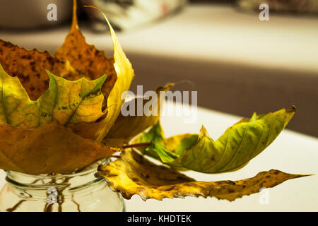 Un tas de feuilles d'automne coloré dans des tons de brun, jaune et vert, disposées dans un vase de salon Banque D'Images