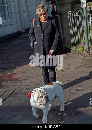 Le jour du Souvenir une femme ramène son chien d'une cérémonie à Brighton city centre Banque D'Images