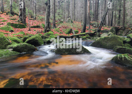 Rapides sur le jedlova Creek à l'automne, les montagnes Jizera, République tchèque Banque D'Images