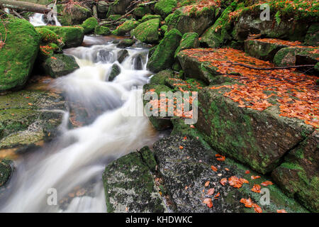 Rapides sur jedlova Creek dans les montagnes Jizera, République tchèque Banque D'Images