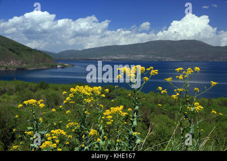 Lac Sevan, lac alpin d'eau douce en Arménie Banque D'Images