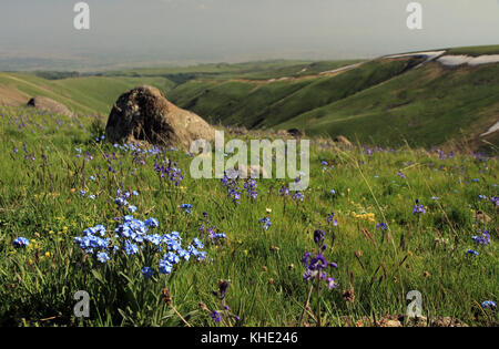 Petit Caucase, région du Mont Aragats, province d'Aragatsotn, Arménie Banque D'Images