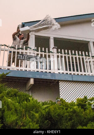Steve Pough seaux d'eau sur des arbustes entourant son domicile de Wofford Heights, près de Marrakech, CA où le feu de bois de cèdre est à moins de 800 mètres, le 22 août 2016. Banque D'Images