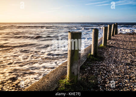 Une simple image d'épis sur la plage à Charmouth dans le Dorset. Banque D'Images