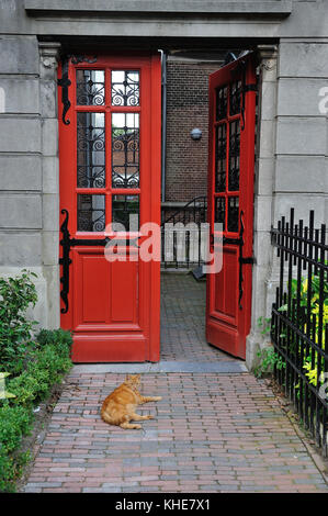 La porte rouge et cat Banque D'Images