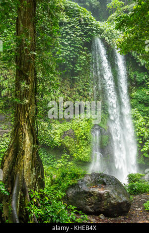 Cascade De Sendang Gile | Lombok | Indonésie Banque D'Images