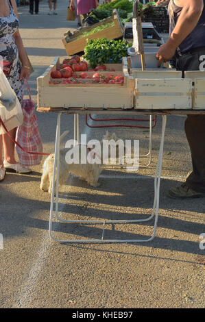 Marché agricole de Velleron. France Banque D'Images