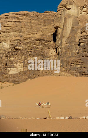 Monté sur un chameau bédouin dans le wadi Rum, Jordanie, Moyen-Orient Banque D'Images