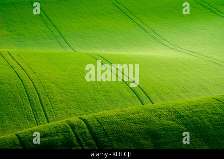 Collines ondulées vert en Moravie du sud Banque D'Images