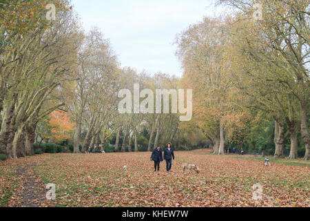 Putney Londres, Royaume-Uni. 16 nov, 2017. dog walkers profiter de l'agréable ensoleillé avec des températures dans la région de bishops park putney, Londres : crédit amer ghazzal/Alamy live news Banque D'Images