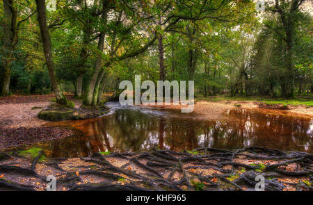 Vue paysage d'Ober de l'eau, dans la New Forest, Hampshire, Royaume-Uni. Banque D'Images