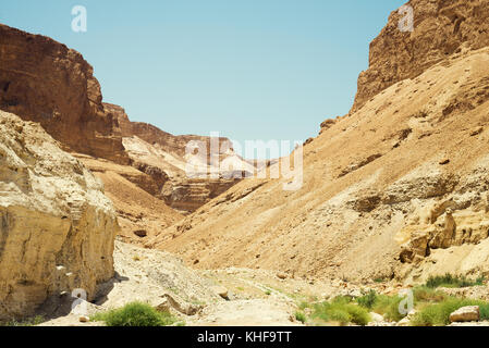 Masada en Israël Banque D'Images