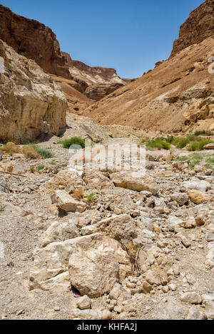 Masada en Israël Banque D'Images