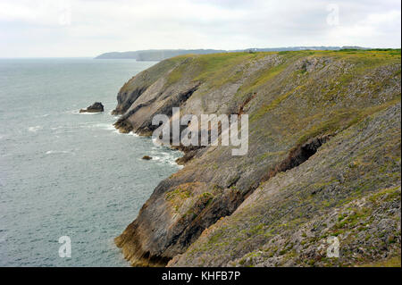 Littoral du Pembrokeshire, robuste et du sentier côtier près de tenby, regardant vers l'île de caldey, une île sacrée au large de la côte du Pays de Galles, Royaume-Uni. Banque D'Images