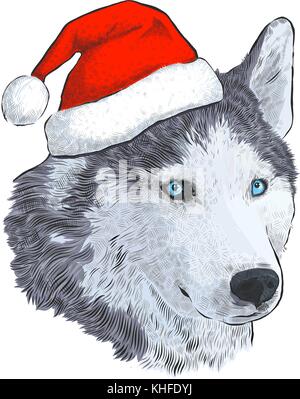 Husky dans santa hat. gravure portrait dessin à la main isolé sur fond blanc. chien - symbole de la nouvelle année 2018. Illustration de Vecteur