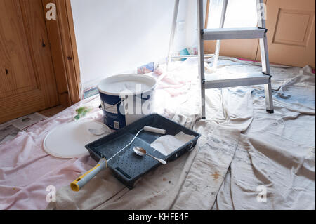 Décorer avec des feuilles de poussière mayhem sur chaussée humide et prêt pour la peinture des murs dans le couloir pour être enduit d'émulsion et de bloquer la porte d'entrée Banque D'Images