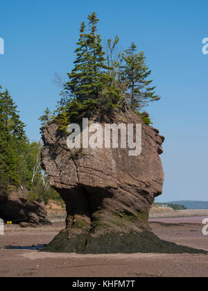 Rochers en forme au parc des rochers Hopewell Rocks, dans la baie de Fundy, Nouveau-Brunswick, Canada. Banque D'Images