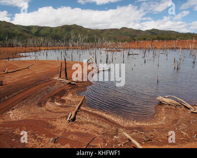 Noyé dans la forêt de Kaori dans le parc de la rivière bleue, en Nouvelle-Calédonie Banque D'Images