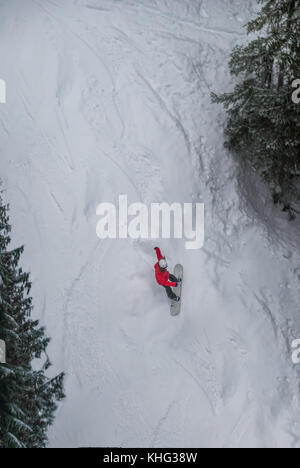 Snowboarder en glissant entre les arbres red jacket Banque D'Images