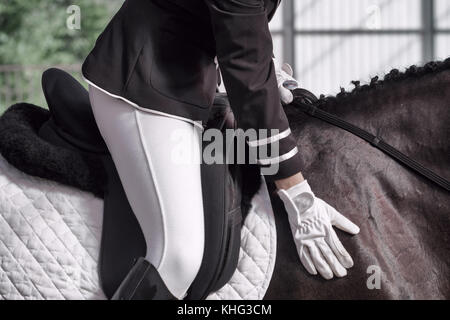 Belle fille jockey assis en selle sur un cheval le tournage de près. elle frappe le cheval d'un ton rassurant. un pedigree cheval pour le sport équestre. Banque D'Images