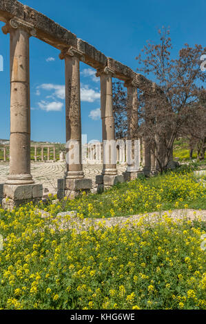 Plaza ovale de Jerash, Jordanie, Moyen-Orient Banque D'Images