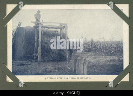 2237017 presse à foin utilisé dans le Queensland, ca. 1906 Banque D'Images