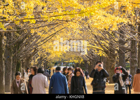 Tokyo, Japon. 16 novembre 2017. De nombreux visiteurs apprécient le fait de photographier et de faire du wathing des arbres gingko dans le parc Shouwa Kinen de Tachikawa Tokyo. Credit: Yuichiro Tashiro /Alay Live News Banque D'Images