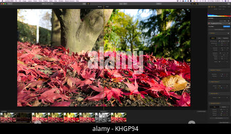 Capture d'écran du nouveau logiciel d'édition photo par Skylum 2018 Luminar / macphun utilisée pour modifier une image photographique sur un iMac Banque D'Images