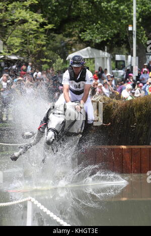 Le cavalier australien STUART Tinney Riding on WAR HAWK a terminé à la 3e place de l'épreuve CCI**** Cross Country aux Adelaide International Horse Trials à Adélaïde, Australie du Sud, le 18 novembre 2017. Le cheval de Tinney a frappé la perche au deuxième saut mais a réussi à reprendre son sang-froid pour terminer. Banque D'Images