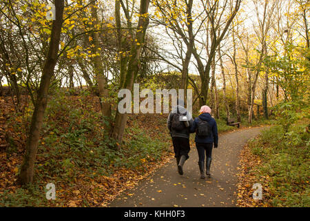 Burscough, Lancashire, UK Weather 19 novembre 2017. Beau, sec et froid pour la journée pour les ornithologues et les marcheurs dans les zones boisées humides Martin simple réserve naturelle. Crédit. /MediaWorldImages AlamyLiveNews. Banque D'Images