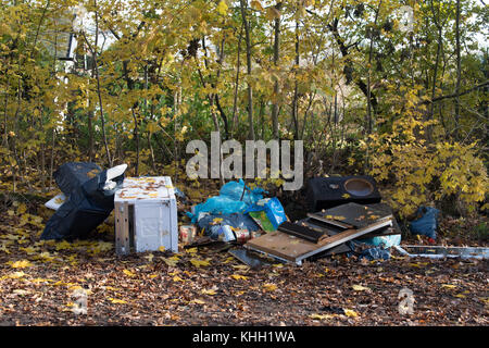 Berlin, Allemagne. 17 novembre, 2017. corbeille encombrants gisant au bord d'un chemin dans un morceau de forêt dans Berlin, Allemagne, 17 novembre 2017. crédit : Soeren stache/dpa/Alamy live news Banque D'Images