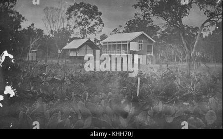 2296831 Queensland Oponce de l'est Conseil research station, Dulacca, ca 1913 Banque D'Images