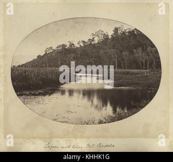 Image historique d'une lagune avec des nénuphars à Mount Cordelia près d'Ingham, Queensland, Australie, vers 1881. Banque D'Images