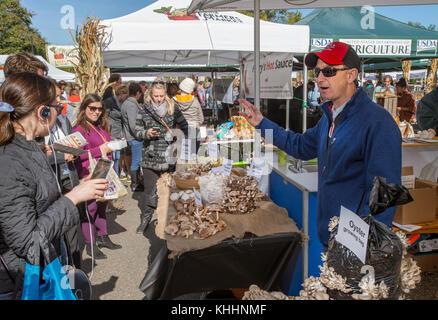 To-JO Pete Wilder, directrice du marketing des champignons, en partenariat avec l'American Mushroom Institute et le Mushroom Council, parle de la culture commerciale et domestique, de la sélection, de l'entreposage et de l'utilisation d'une variété de champignons exposés à la tente d'éducation VegU, Pendant le jardin du peuple - Farmers Market du département américain de l’agriculture (USDA), le vendredi 29 octobre 2016, à Washington, D.C., des champignons sont présentés dans des démonstrations de recettes alimentaires et des échantillons à la tente Vegan. Boutons blancs, crimini, portabella, huître, maitake (Hen des Bois), shiitake et trompettes royales sont certains o Banque D'Images